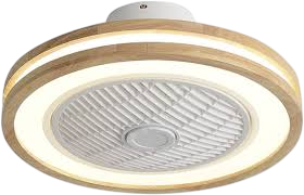 Lighting & Ceiling Fans