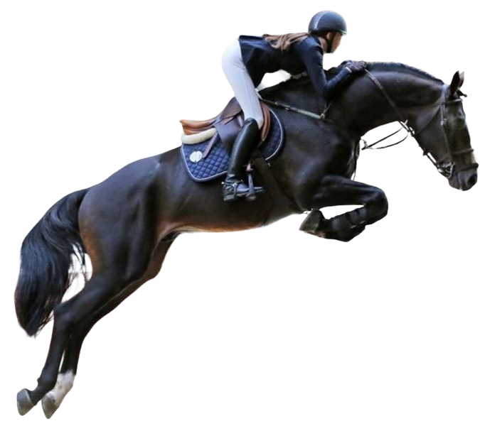 Equestrian Sports